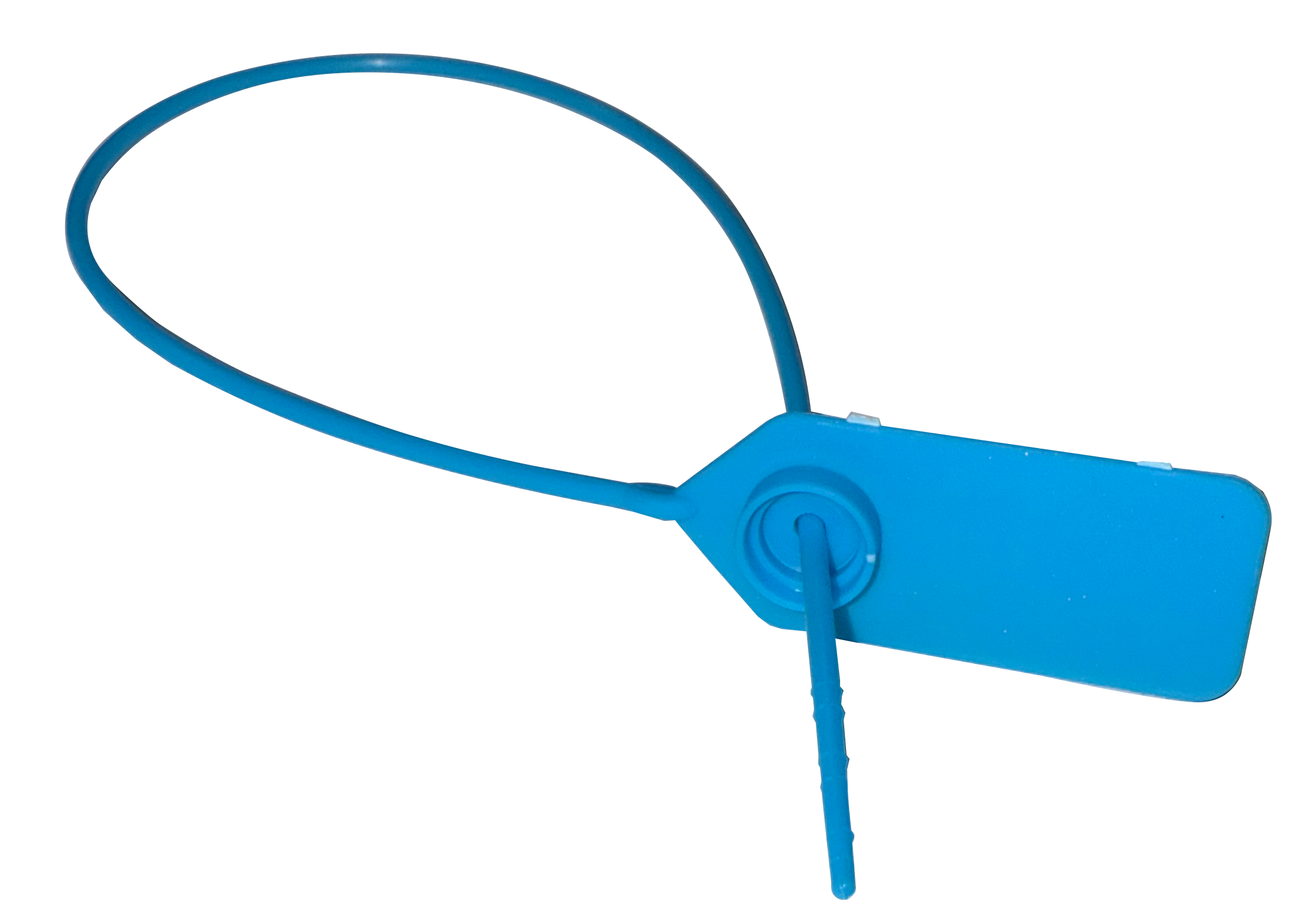 Anti-counterfeit buckle