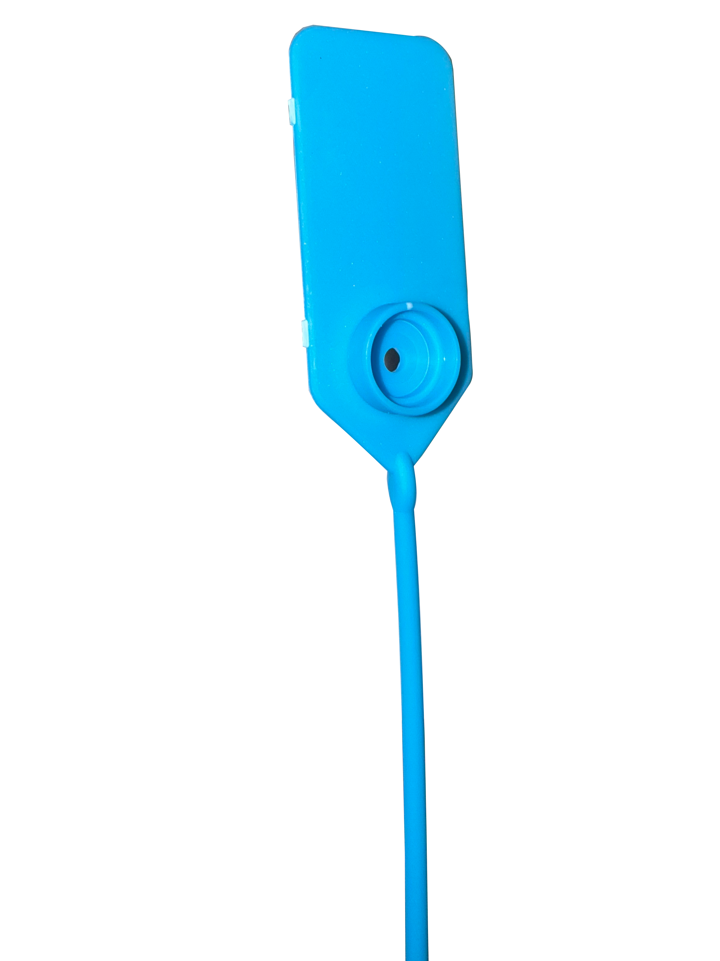 Anti-counterfeit buckle